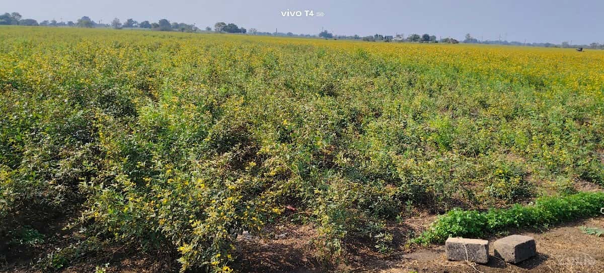 જમીન વેચવાની છે. જમીન વેચવાની છે.