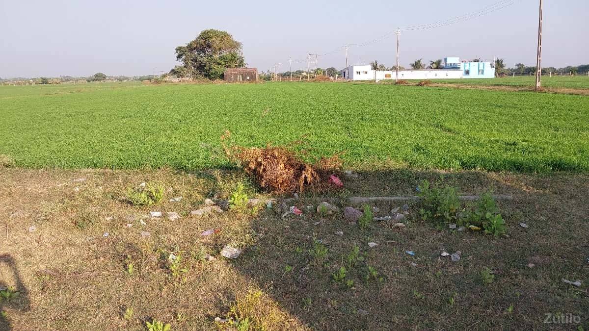 jamin vesh Vani se jamin vesh Vani se