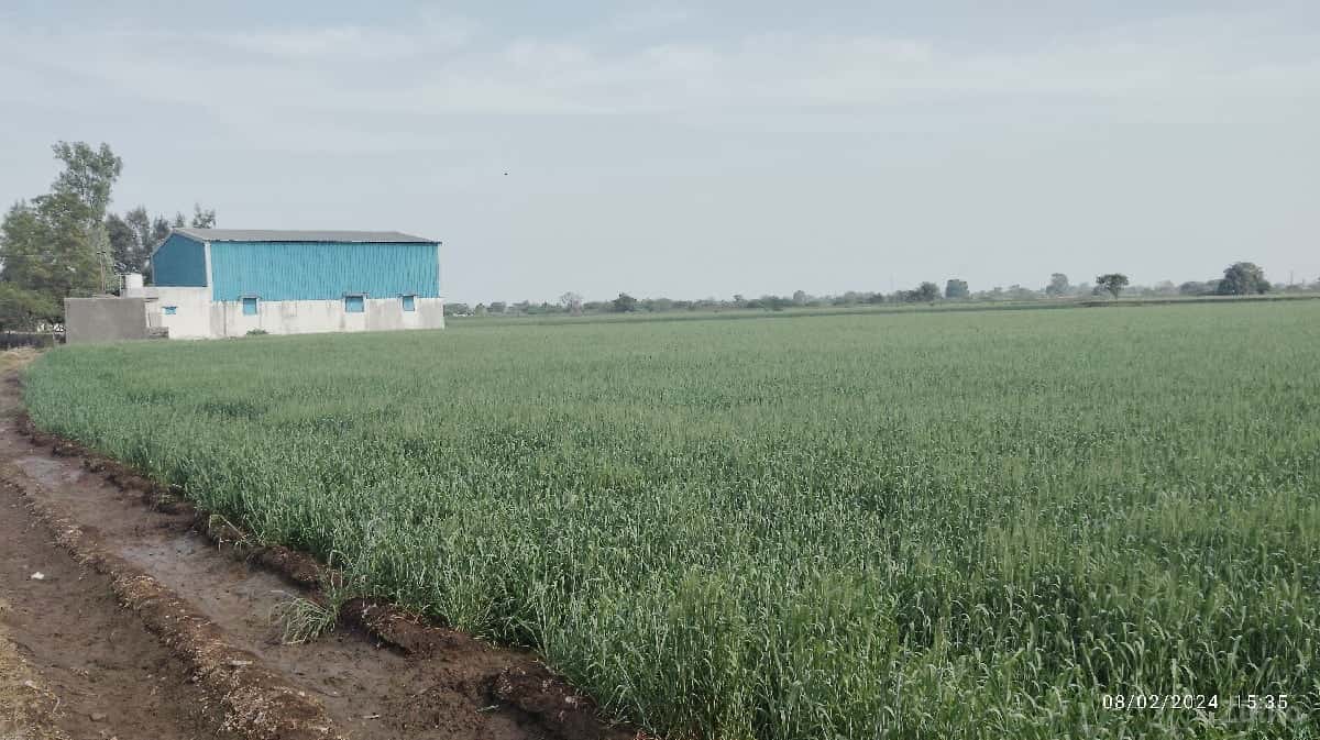 જમીન હાયવે ટસ વેચવાની છે ઉપલેટા જમીન હાયવે ટસ વેચવાની છે ઉપલેટા