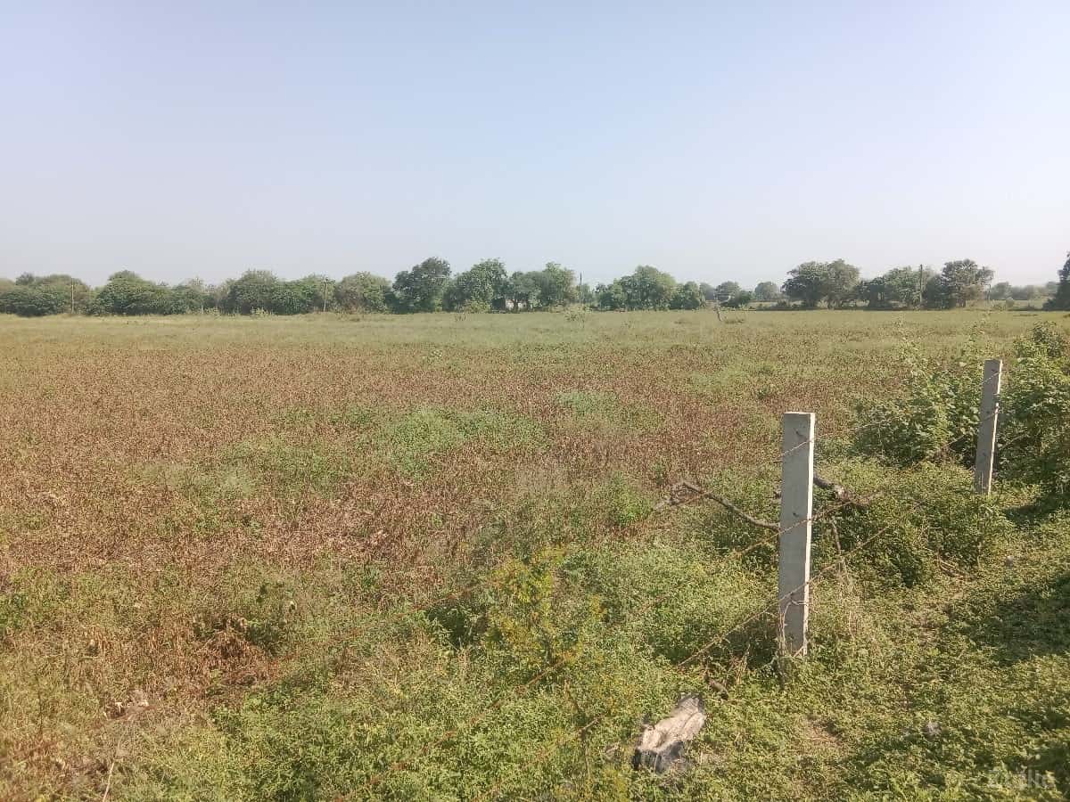 ખેતીની જમીન વેચવાની છે ખેતીની જમીન વેચવાની છે