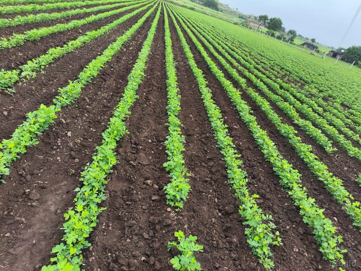 જમીન વેચવાની છે - જમીન અને પ્લોટ - ગાંધીનગર શહેર - Image 1