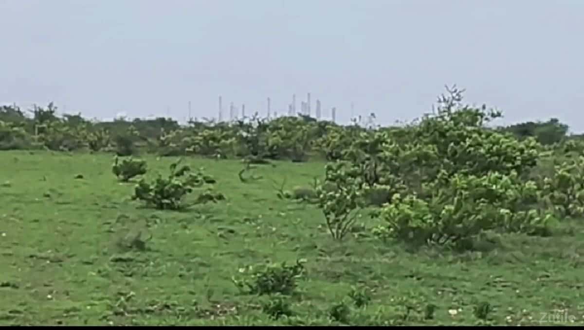 જમીન વેચવાની છે જમીન વેચવાની છે