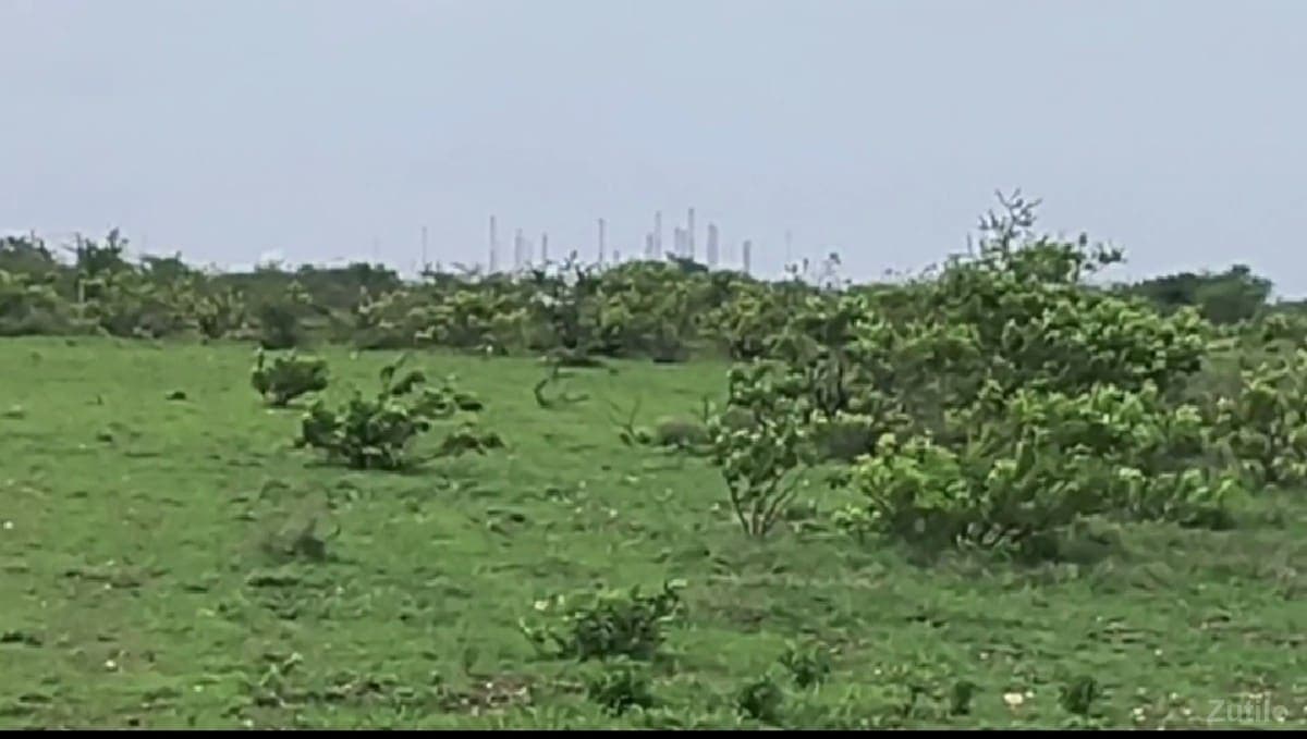 જમીન વેચવાની છે - Land & Plots - Lalpur - Image 1