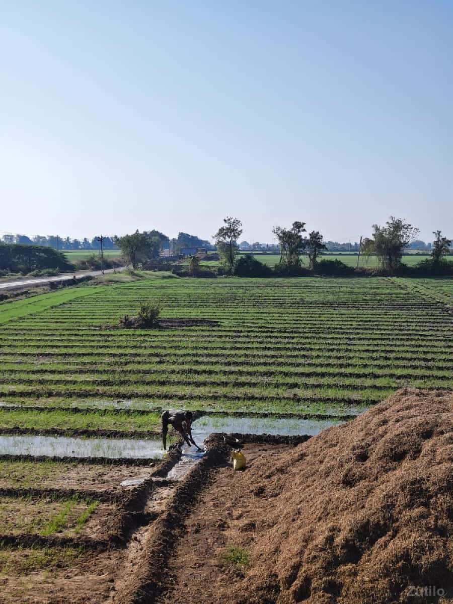 નેશનલ હાઇવેરોડ ટચ જૂની શરત ની જમીન નેશનલ હાઇવેરોડ ટચ જૂની શરત ની જમીન