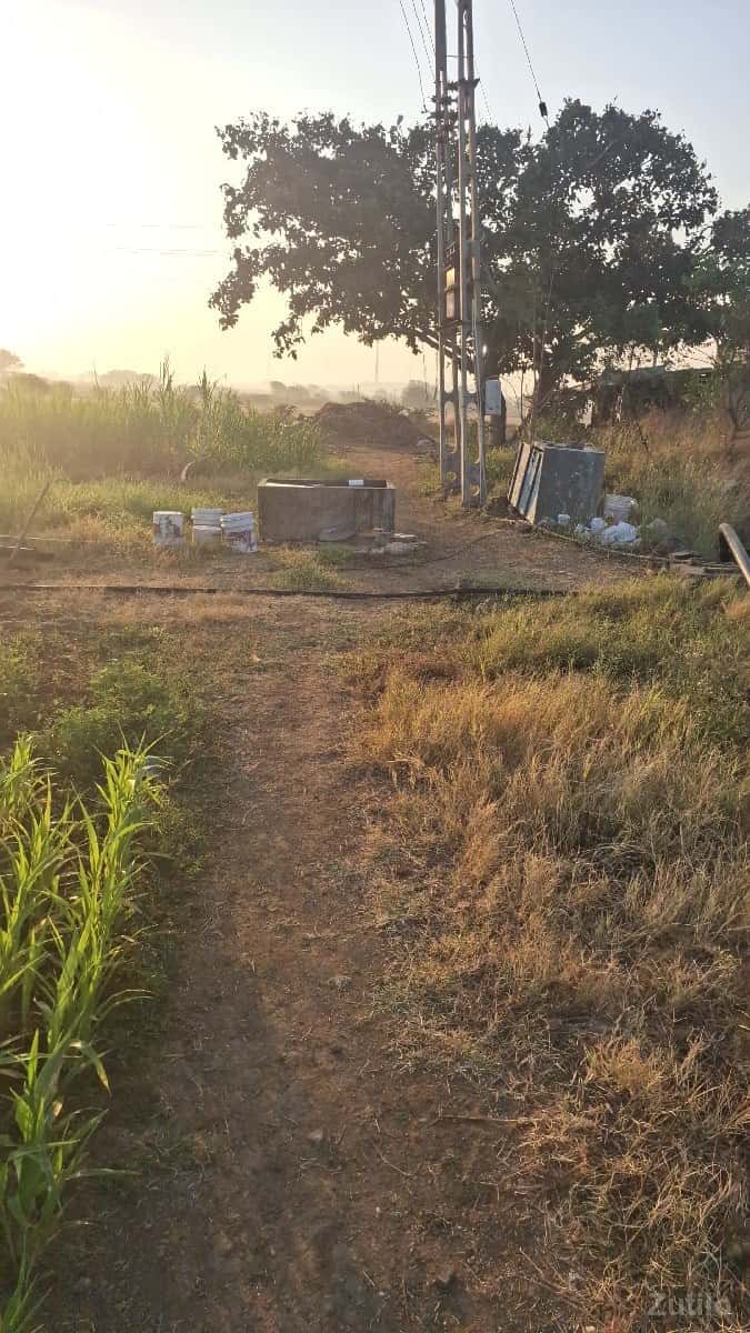 ખેતી લાયક જમીન છે બે મોશમનુ પાણી ખેતી લાયક જમીન છે બે મોશમનુ પાણી