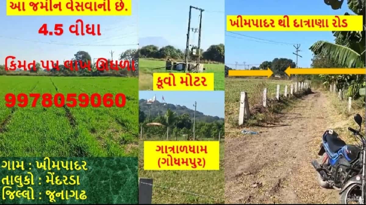 ખેતી ની જમીન વેસવા ની છે ખેતી ની જમીન વેસવા ની છે
