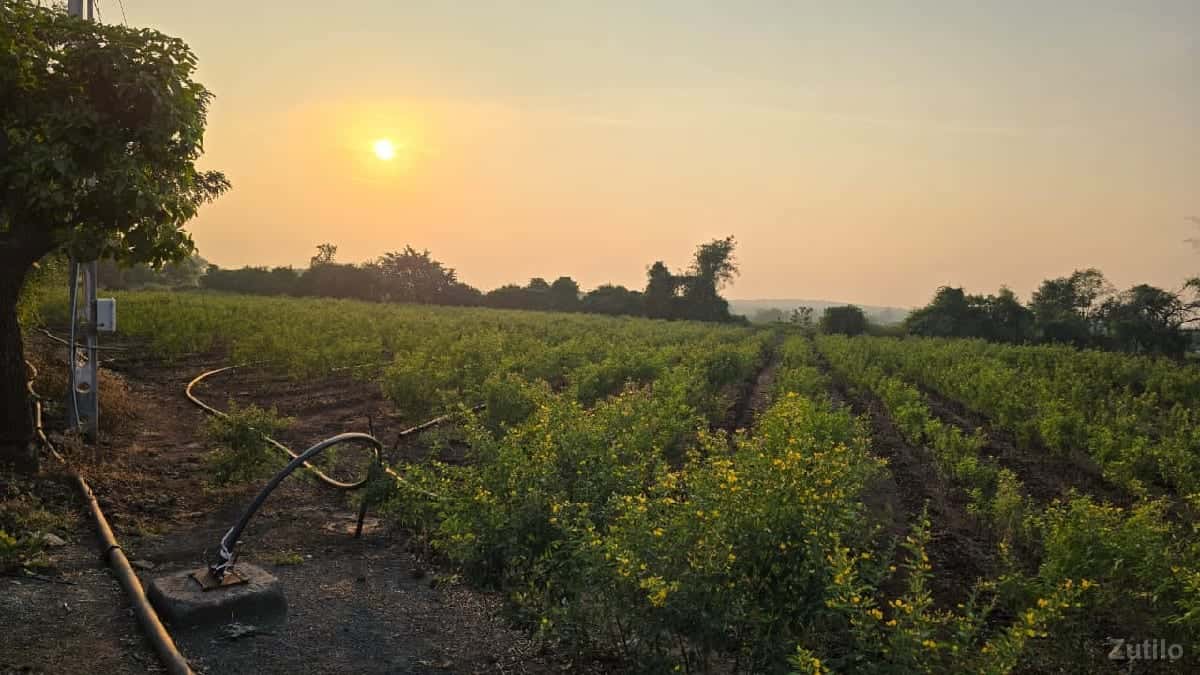 તાલુકો ભાણવડ ગામ નવાગામ જમીન તાલુકો ભાણવડ ગામ નવાગામ જમીન