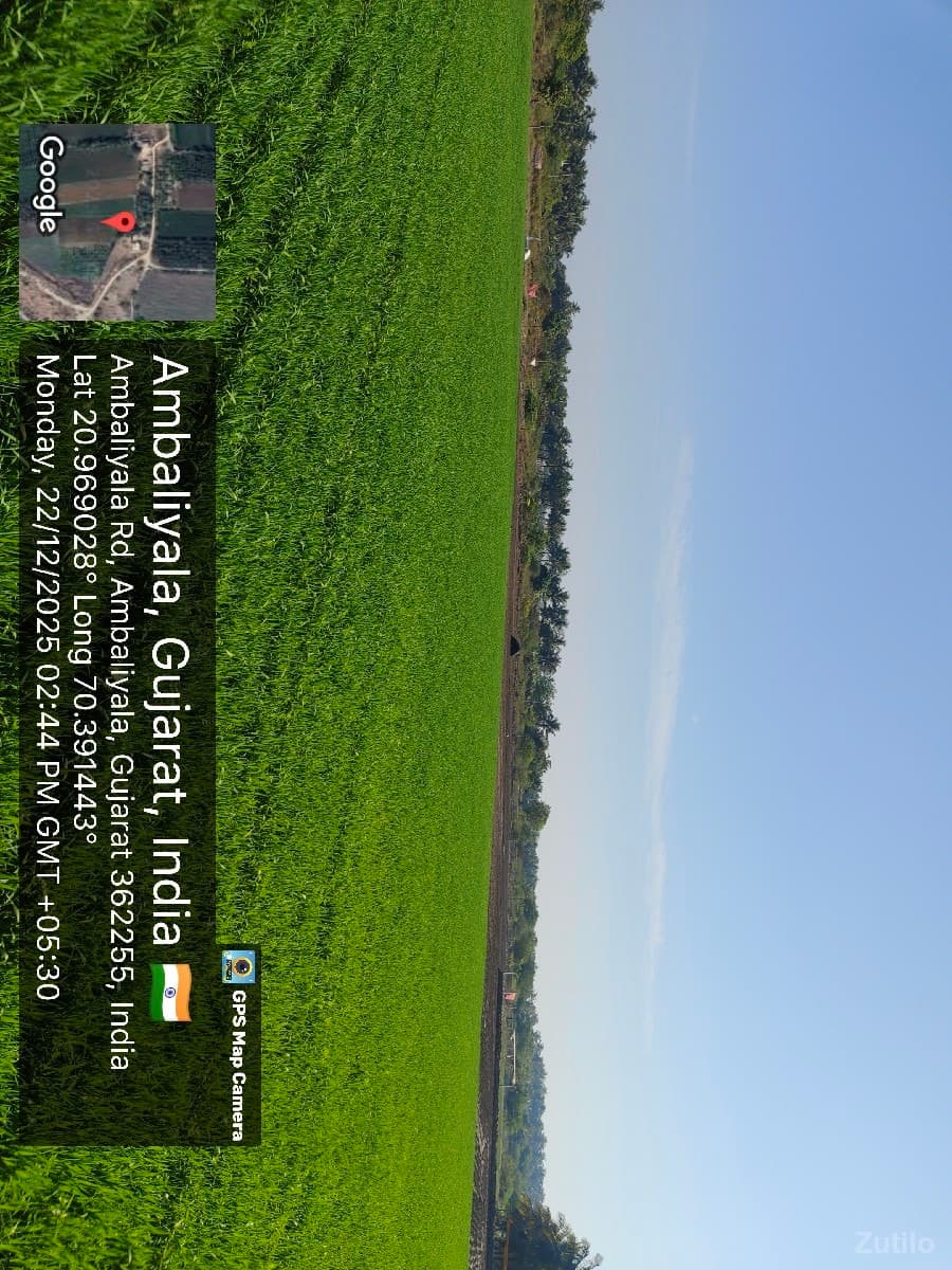 જમીન વેચવાની છે - Land & Plots - Somnath - Image 1