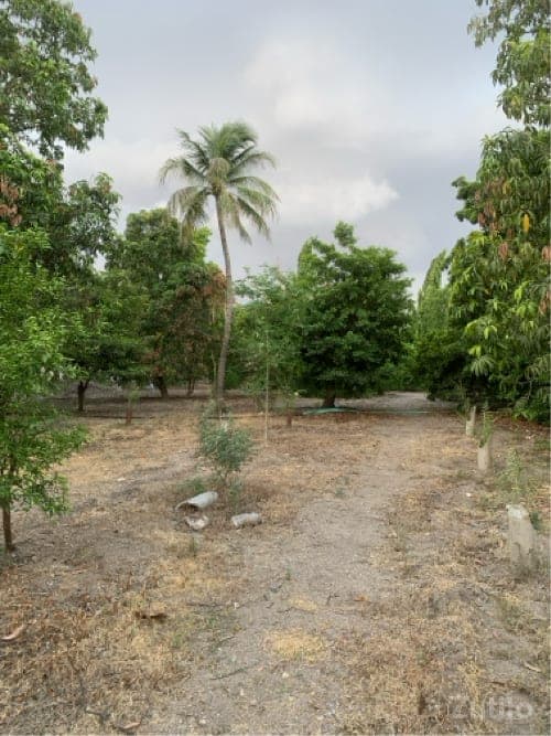 ફ્રૂટ બગીચો ઇજારા થી આપવાનો છે
સાખ થી બગીચો આપવાનો છે