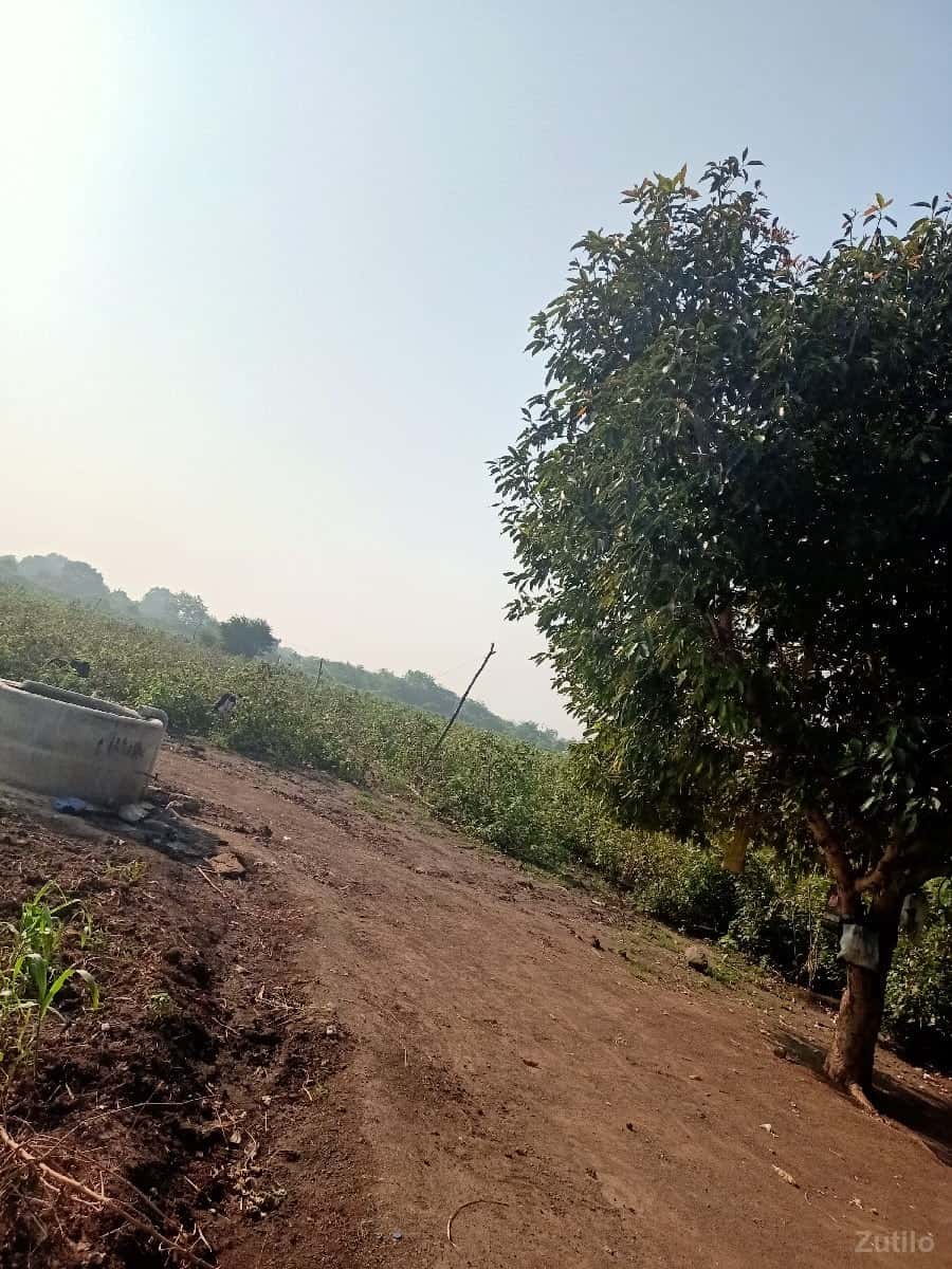 જમીન લેવા માટે કોન્ટેક્ટ કરો જમીન લેવા માટે કોન્ટેક્ટ કરો