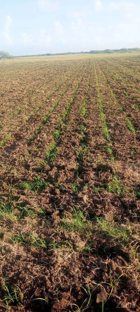 Jamin vesvani se Jamin vesvani se