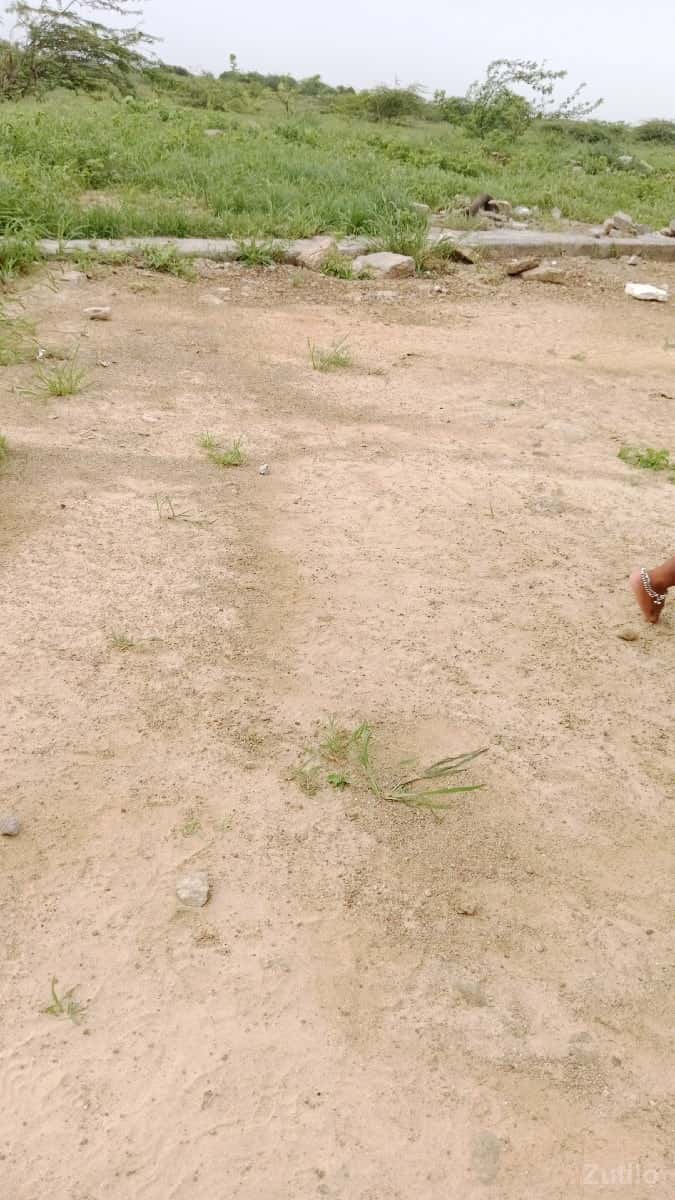 બુધાભા ફોન નંબર 9898245616 બુધાભા ફોન નંબર 9898245616