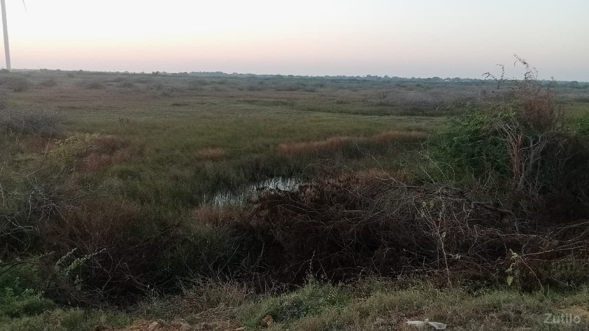 જમીન વેચવાની છે - Land & Plots - Dwarka - Image 1