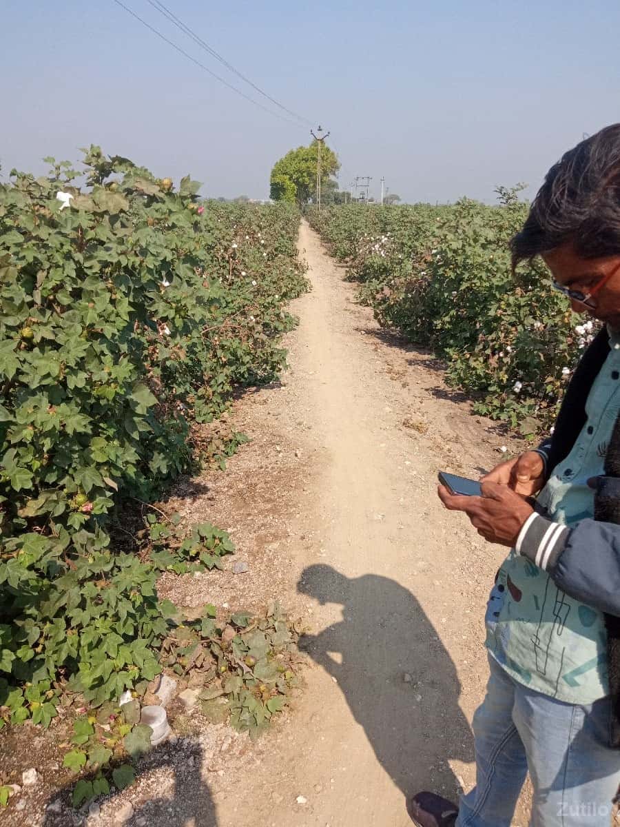 દામોદર ભાઈ કણસાગરા 84015 22889 દામોદર ભાઈ કણસાગરા 84015 22889