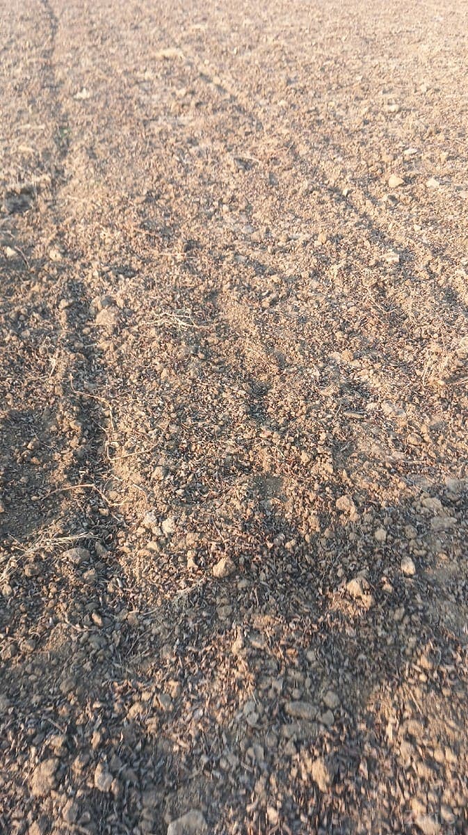 જમીન વેચવાની છે વીઘા 120 - Land & Plots - Dwarka - Image 1