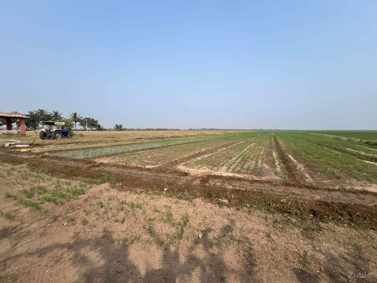 જમીન વેચવાની છે
સોમનાથ દ્વારકા જમીન વેચવાની છે
સોમનાથ દ્વારકા