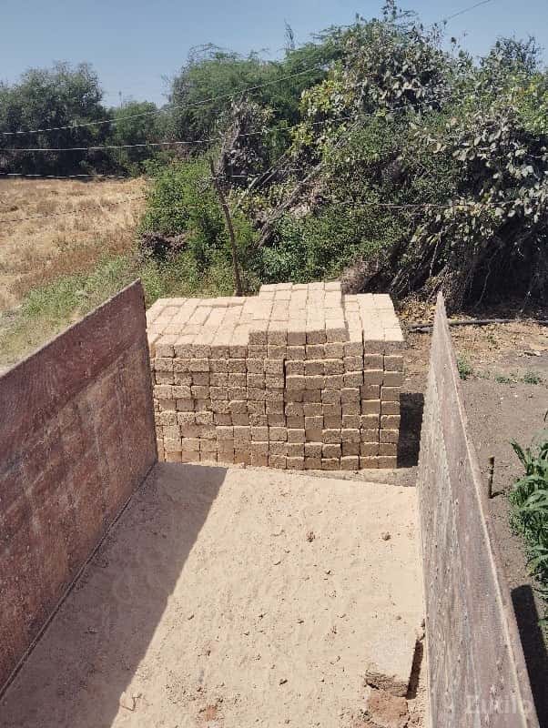 પોરબંદર રાતડી કુછડી મિયાણી પોરબંદર રાતડી કુછડી મિયાણી