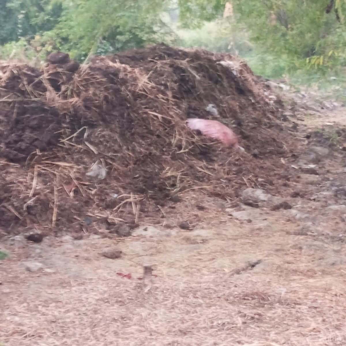 ખાતર વેછવાનુસે ખાતર વેછવાનુસે