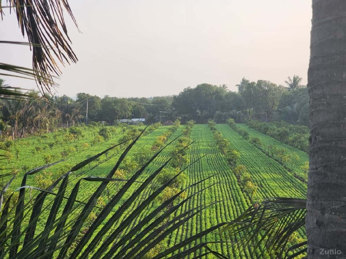 જમીન વેચવાની છે
19 વીઘા જામીન
વિધ જમીન વેચવાની છે
19 વીઘા જામીન
વિધ