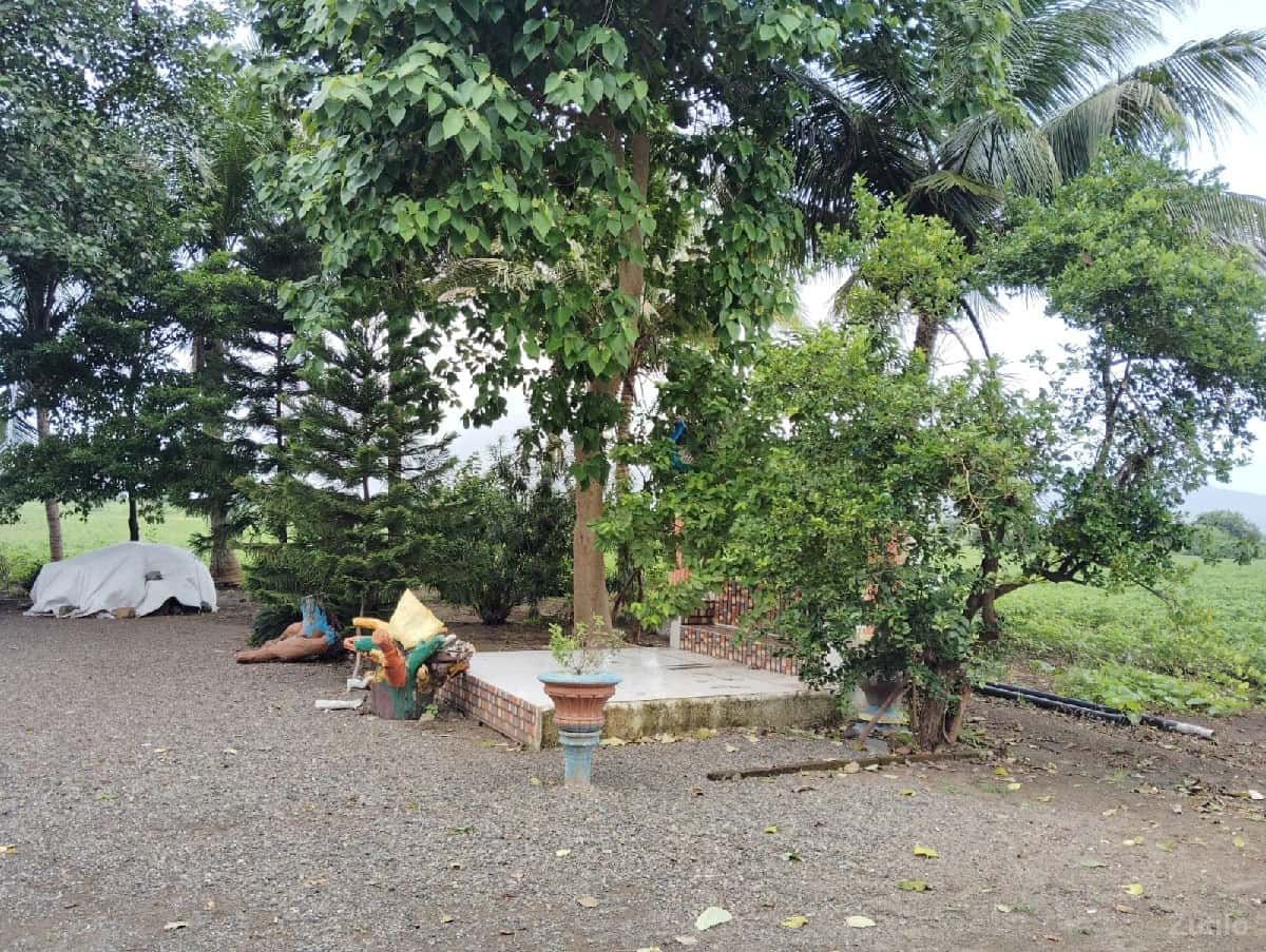 જમીન વેચવાની છે જમીન વેચવાની છે