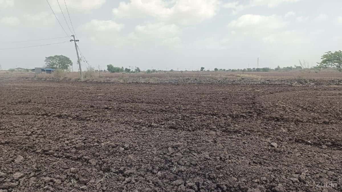 13 વિઘા જમીન વેચવાની છે. 13 વિઘા જમીન વેચવાની છે.