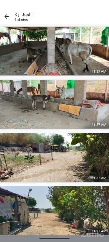 ભાડે આપવાની છે. જગ્યા ભાડે આપવાની છે. જગ્યા