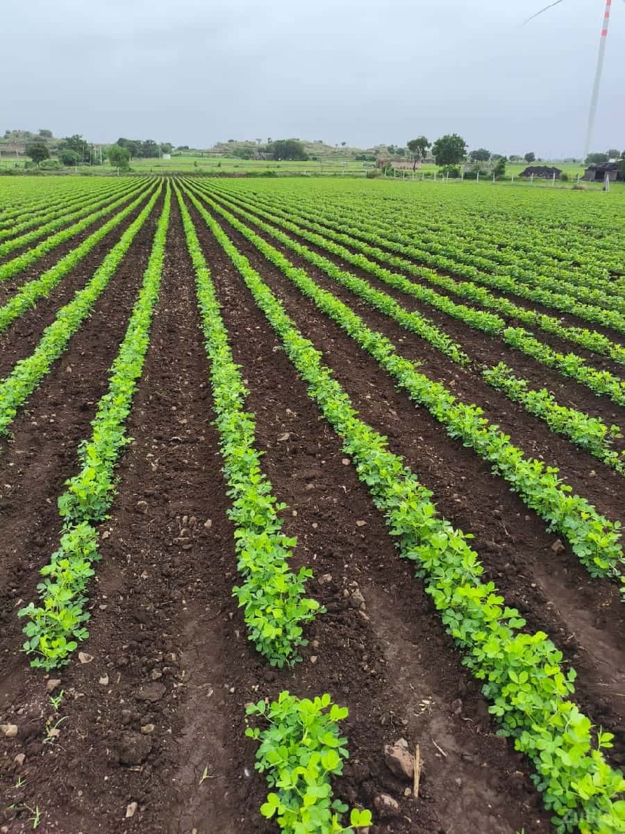 જમીન વેચવાની છે જમીન વેચવાની છે