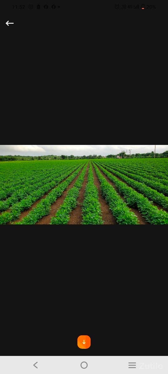 ભાણવડ તાલુકો જીલ્લો દેવભૂમિ દ્વારકા - Land & Plots - Bhanvad - Image 1