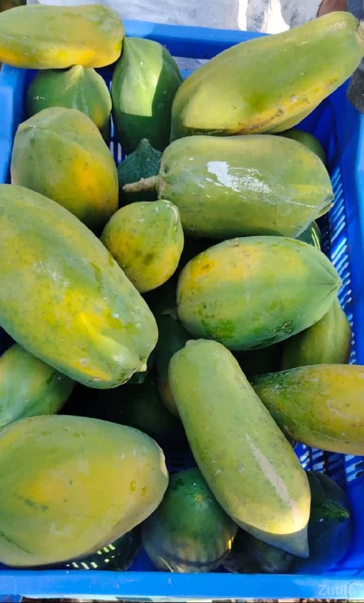 જમીન લે વેચ માટે સંપર્ક કરો* જમીન લે વેચ માટે સંપર્ક કરો*