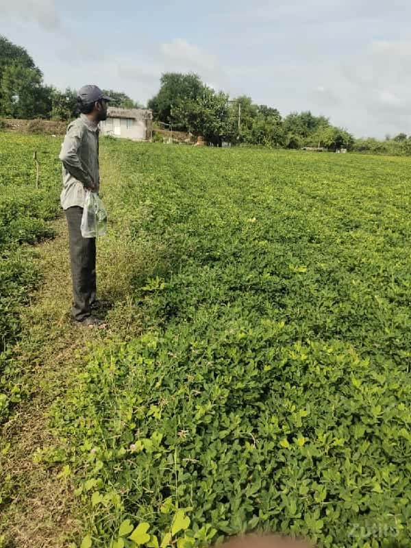 જમીન વેચવાની છે જમીન વેચવાની છે