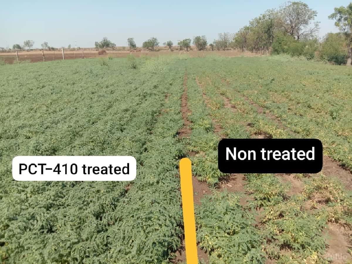 કોલકી રોડ ટચ જમીન વેચવાની છે કોલકી રોડ ટચ જમીન વેચવાની છે