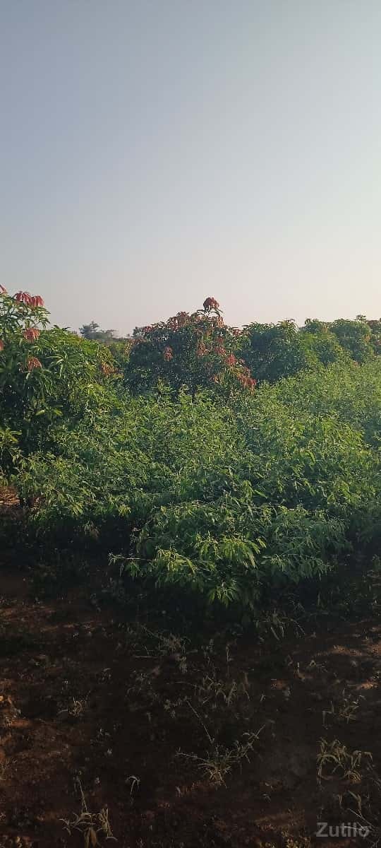 jameen vechavani che jameen vechavani che