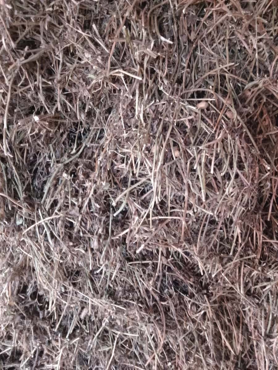 જમીન વેચવાની છે જમીન વેચવાની છે