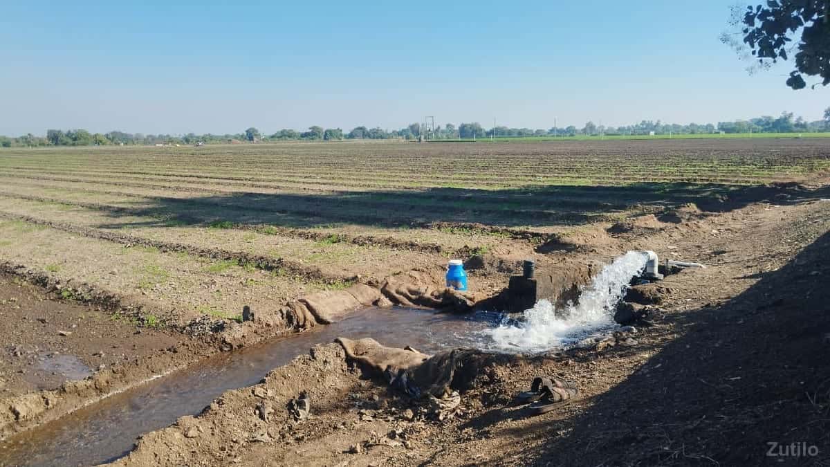જમીન વેચવાની છે જમીન વેચવાની છે
