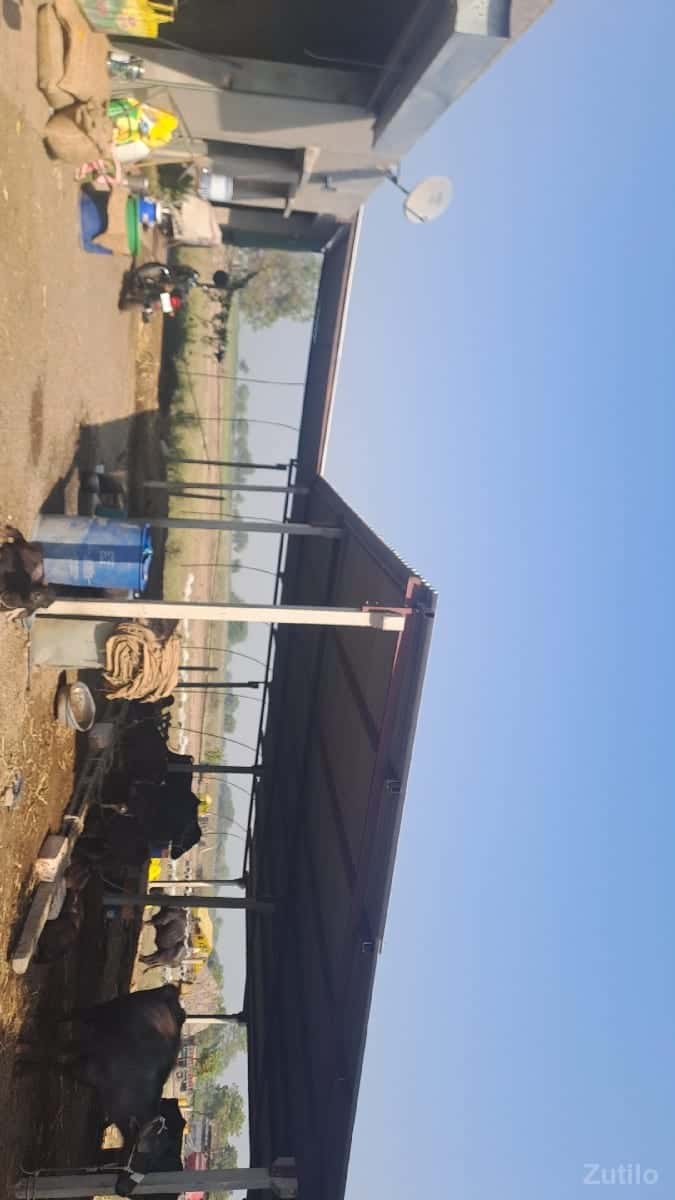 Jamin bhade aapvani che vadi Jamin bhade aapvani che vadi