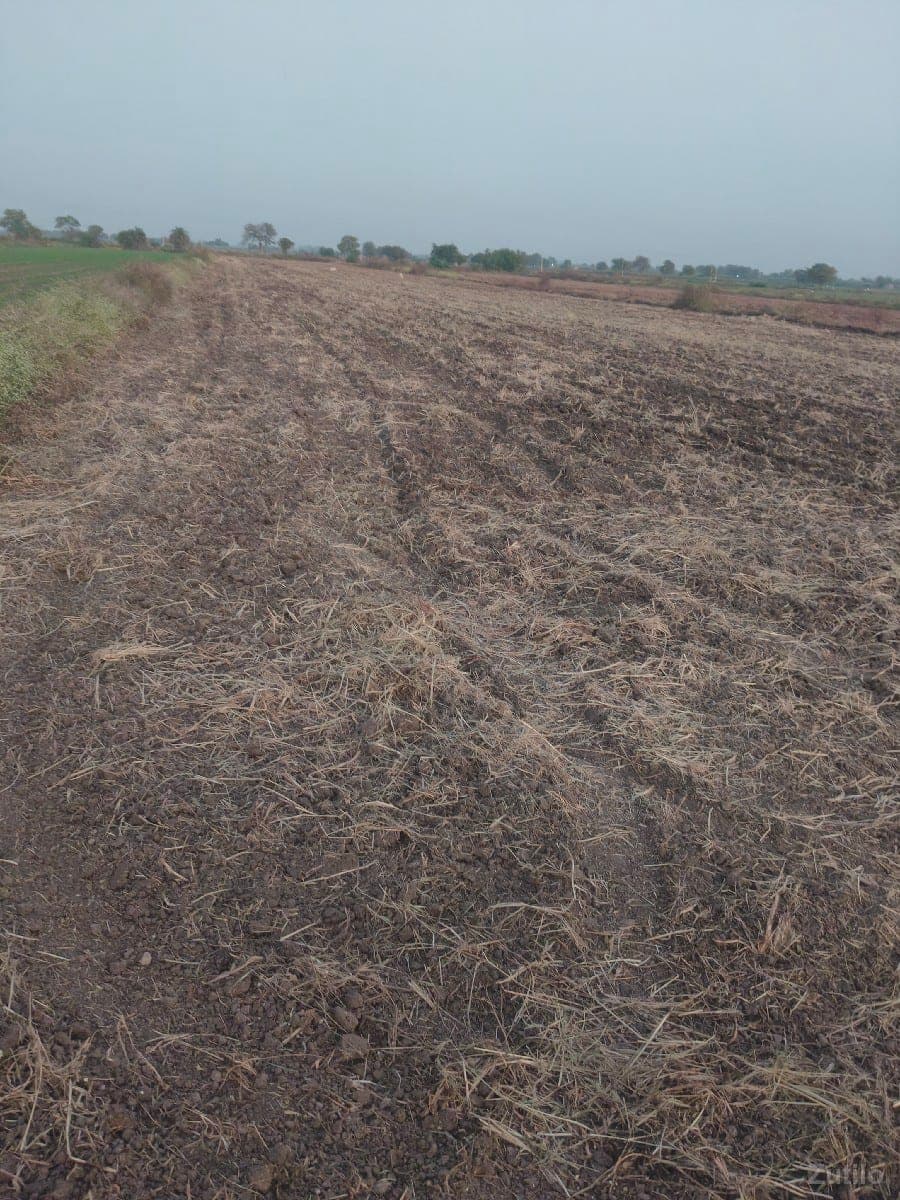 LEVA MATE MLO - Land & Plots - Upleta - Image 1