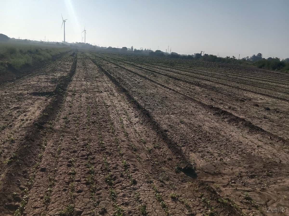 ૧૧૦૦૦૦૦ વીઘો કુલ ૨૨ વીઘા ૧૧૦૦૦૦૦ વીઘો કુલ ૨૨ વીઘા