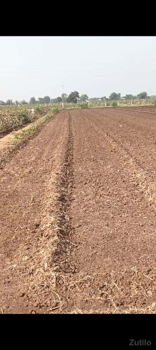 13 વીઘા જમીન 13 વીઘા જમીન