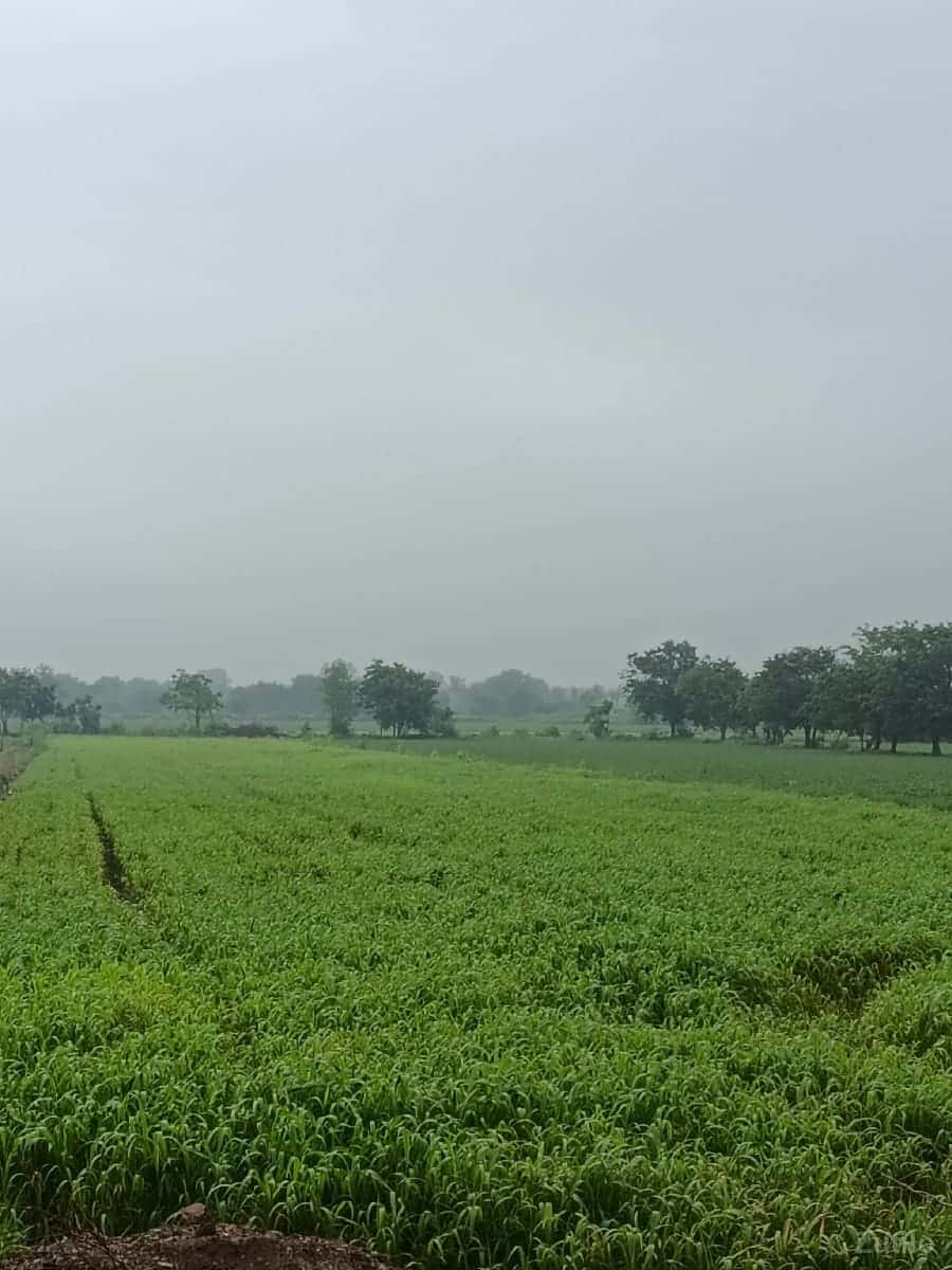 વેચવાની છે વેચવાની છે