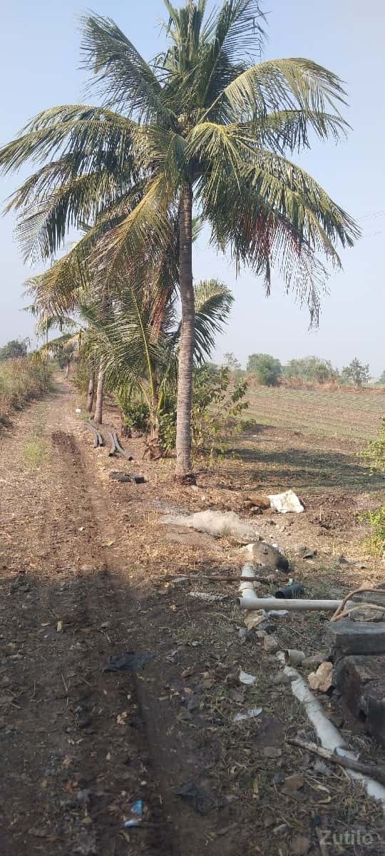 30 vigha vadi full pani 30 vigha vadi full pani