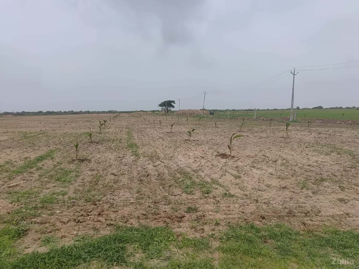 જમીન વેચવાની છે જમીન વેચવાની છે