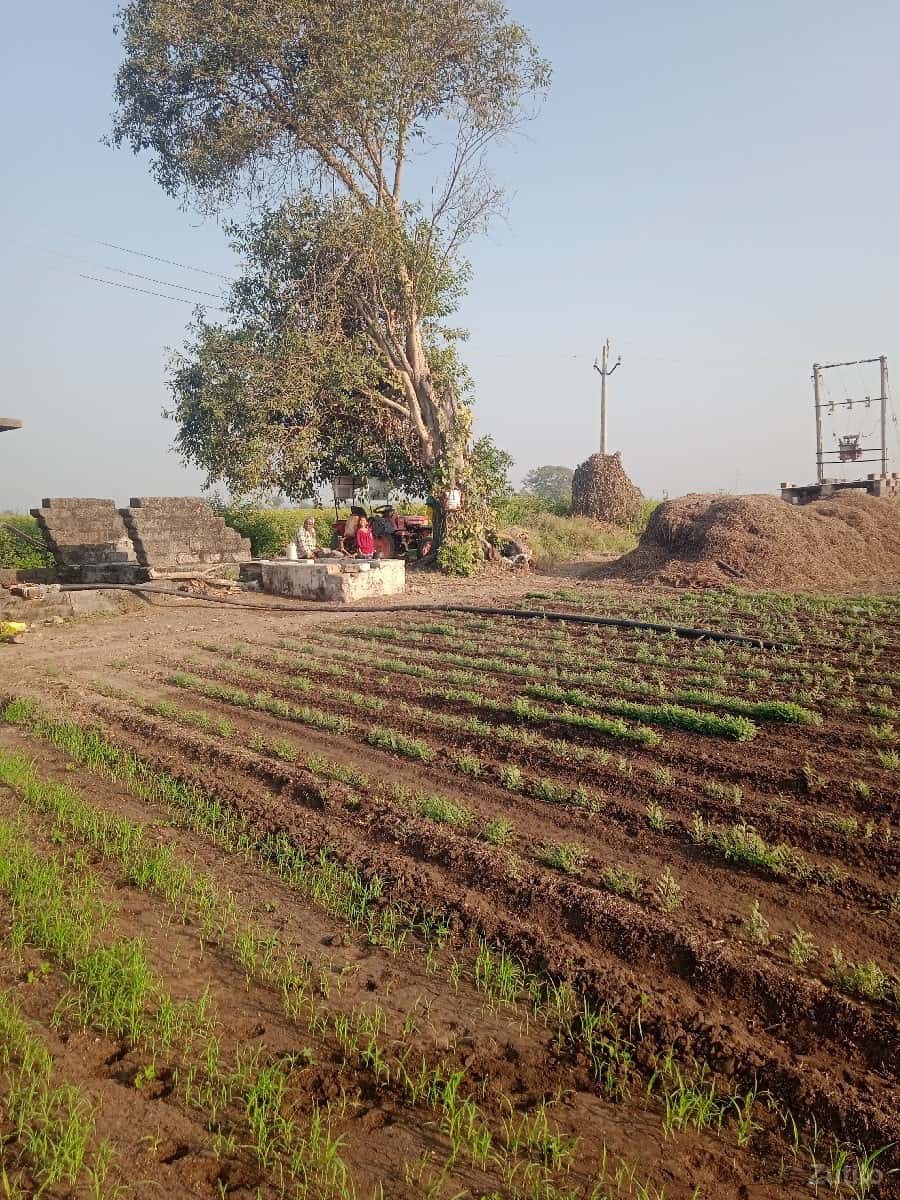 જમીન વેચવાની છે. જમીન વેચવાની છે.