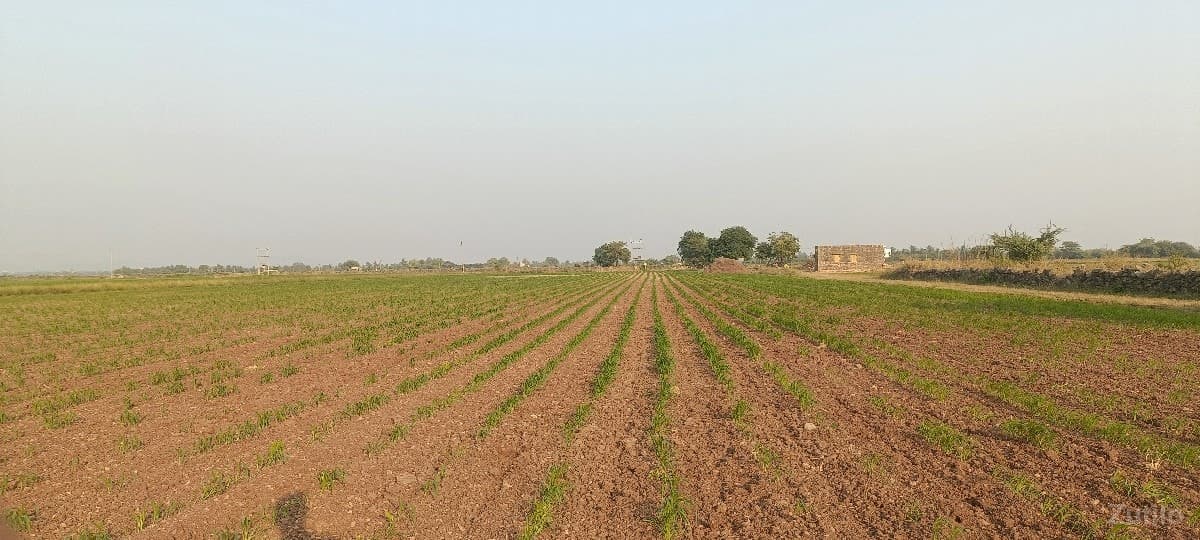 જમીન વેસવા ની છે - Land & Plots - Ranavav - Image 1