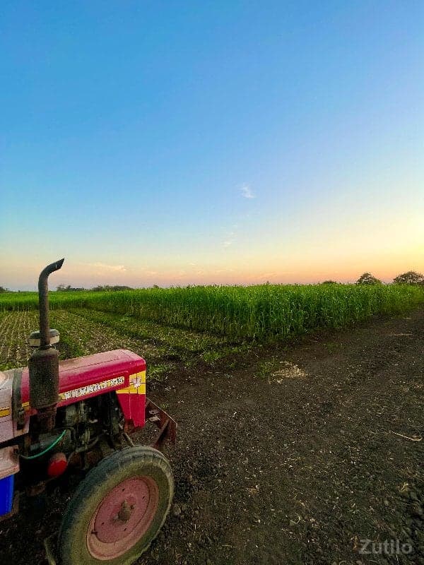 જમીન વેસવાની છે - Land & Plots - Manavadar - Image 1