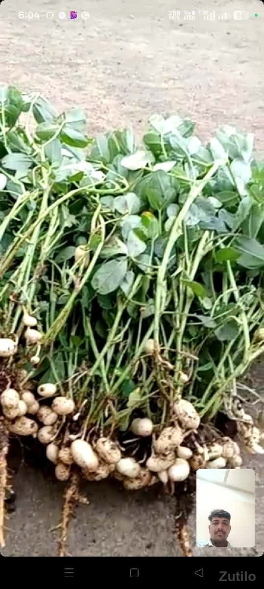 ઉઘડ માં જમીન રાખવી છે ઉઘડ માં જમીન રાખવી છે