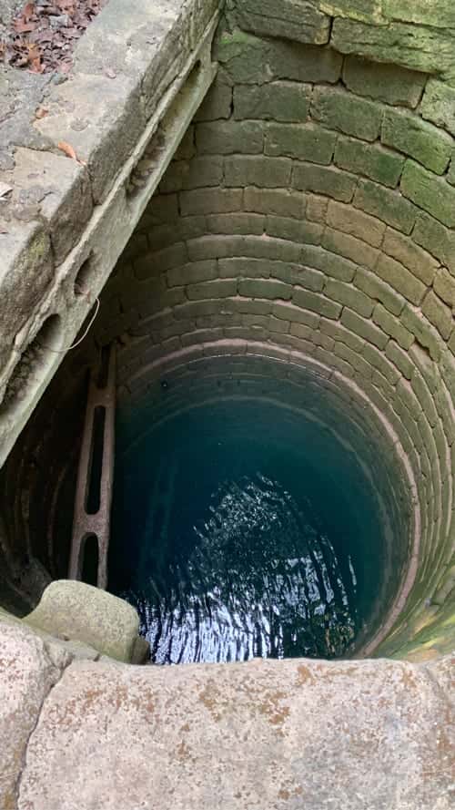 ખૂબજ સરસ ૧૦ વીઘા ચીકુ નો બગીચો વેચવાનો છે ,હાઇવે થી ૫ મીનીટ ના અંતરે ખૂબજ સરસ ૧૦ વીઘા ચીકુ નો બગીચો વેચવાનો છે ,હાઇવે થી ૫ મીનીટ ના અંતરે