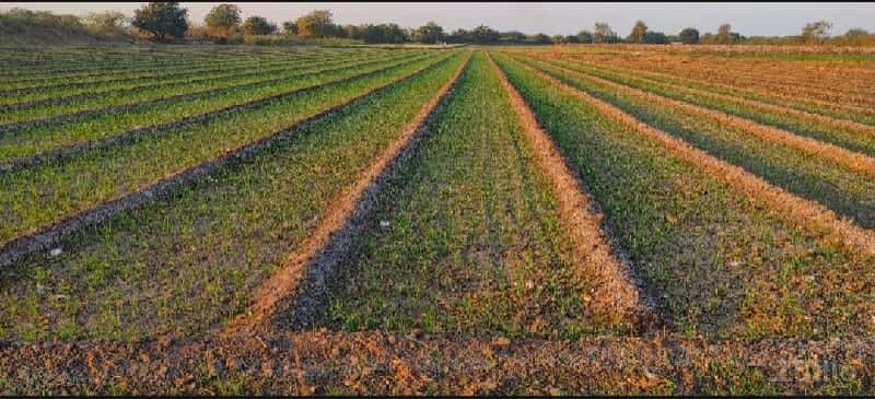 જમીન વેચવાના છે 6.74 વીઘા જમીન વેચવાના છે 6.74 વીઘા