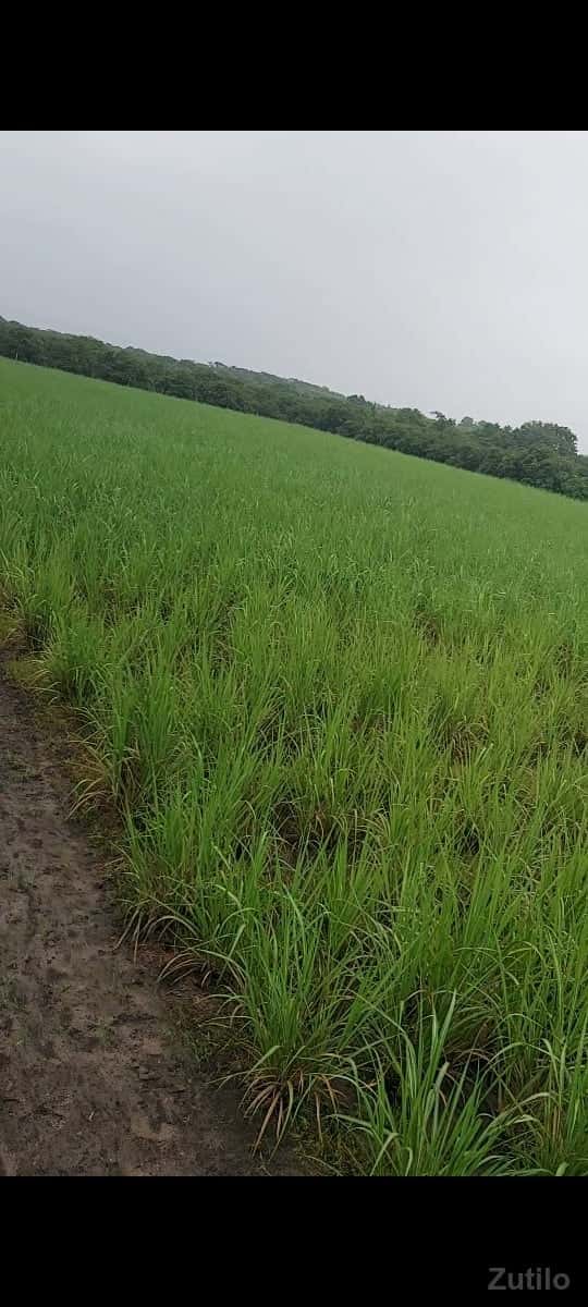 રાળા.નાજાભાઈ. રાળા.નાજાભાઈ.