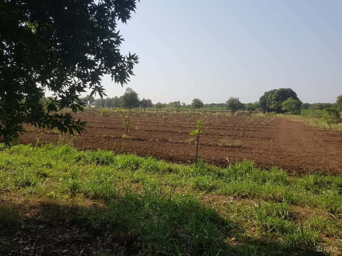 જમીન વેચવાની છે જમીન વેચવાની છે