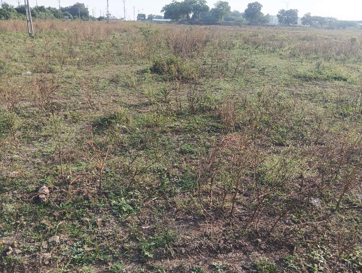 4 Acer jamin 4 Acer jamin